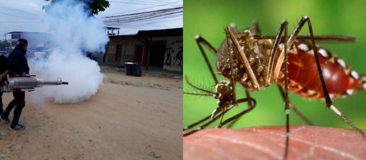  El dengue sigue en incremento en la Provincia de San Martín