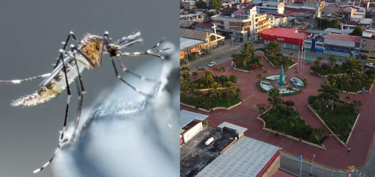  Alcalde de Tarapoto mostró su preocupación por el incremento del dengue