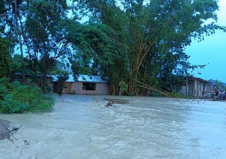 Sauce: Desborde de la Quebrada Upianillo afectó a 8 viviendas y llenó de palos el Lago