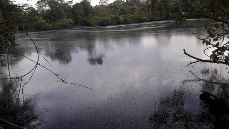  En 30 a 45 días se contará con proyecto alternativo para solucionar problema de Laguna de oxidación de Sauce