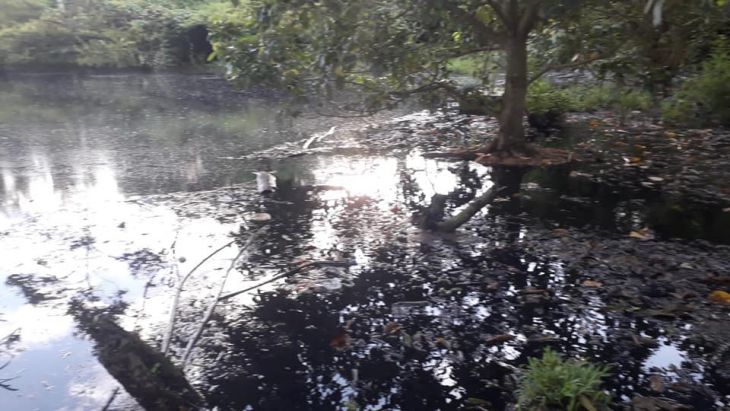  AAA Huallaga señala que el municipio de Sauce tiene que adecuarse y conseguir autorización de vertimiento ante el Ministerio de Vivienda y Saneamiento