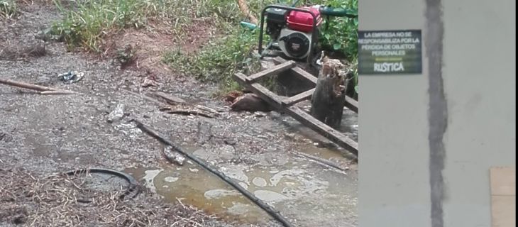  Denuncian a empresa turística por contaminar el Lago Sauce
