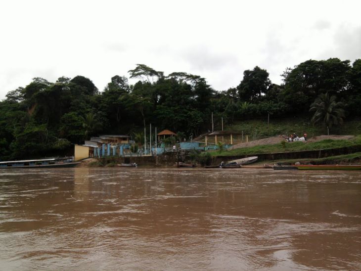  En el centro poblado de Leche, distrito de Huimbayoc, denuncian que irresponsables usan peligroso veneno para pescar, y terminando matando también Taricayas