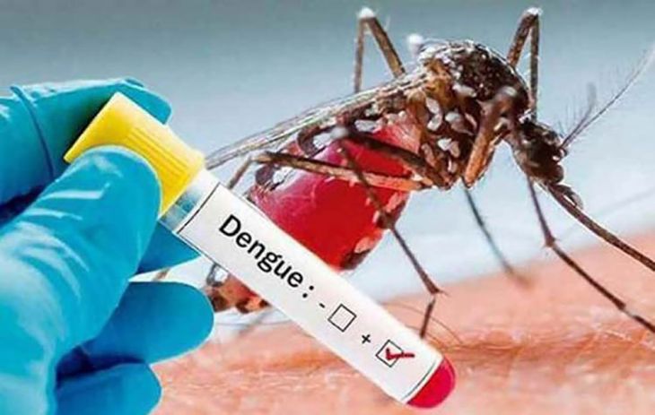  Ayer fue publicado Decreto Supremo que declara en emergencia sanitaria a 15 regiones por brote de dengue
