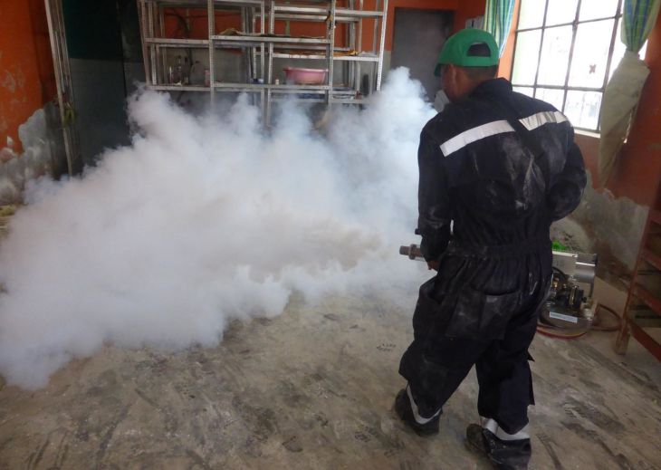  Entre y Navidad y Año Nuevo se debe realizar fumigación en Tarapoto para bajar índice aédico que está en 10%