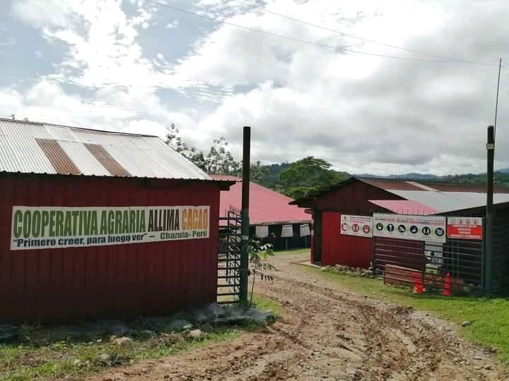  Chazuta: Asaltan la Cooperativa Allima Cacao