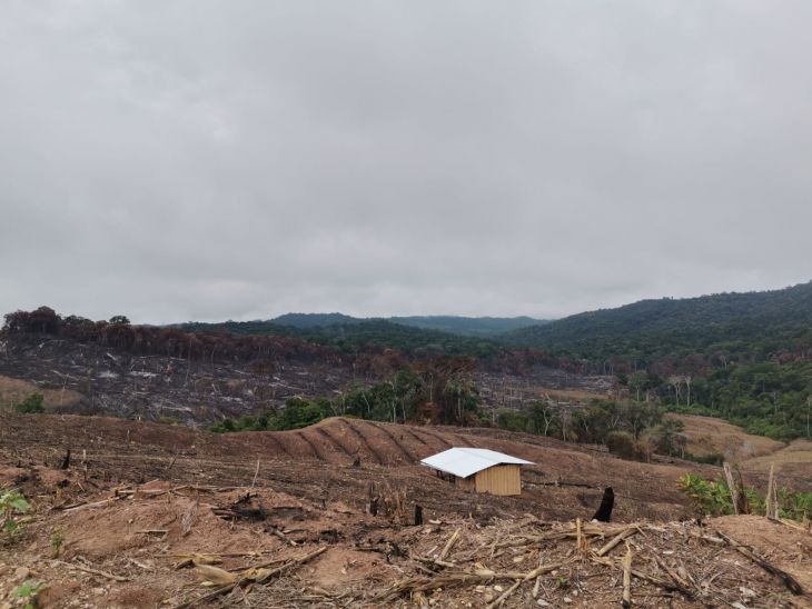  Representantes de la asociación de Conservación Chuacull, reciben amenazas de muerte tras denunciar enorme deforestación