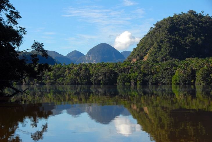  Este sábado se conmemora el 21 aniversario del Parque Nacional Cordillera Azul
