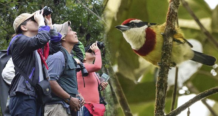  Perú se posiciona como destino líder de Aviturismo  en evento mundial de las Aves 2022 realizado en la Rutland – Reino Unido