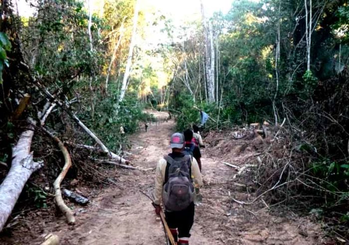  Iván Rojas: “Nadie frena crecimiento desordenado de Tarapoto y La Banda de Shilcayo y ahora se posesionan incluso en la zona de amortiguamiento de Cordillera Escalera”
