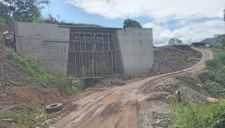  El último viernes 21 venció el plazo contractual para culminación de la carretera Chazuta – Curiyacu