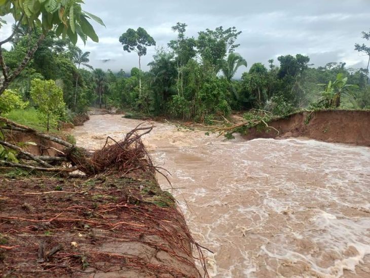  Chazuta: Quebrada Llucanayacu causa daños en vivienda y cultivos