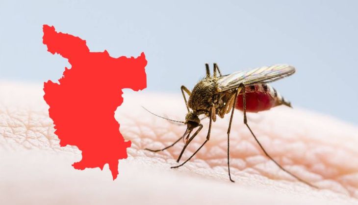  Región San Martín en emergencias por casos de Dengue