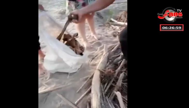  Picota: Agricultor de Nuevo Codo, encuentra esqueleto humano en un montículo de palos a la orilla del Huallaga
