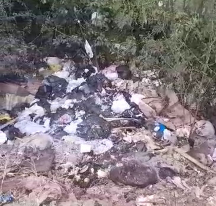  Pobladores de Pucayacu denuncian que inescrupulosas arrojan basura en vía de acceso