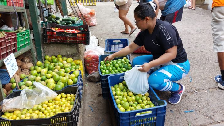  Precio del limón “por las nubes” en mercados de Tarapoto