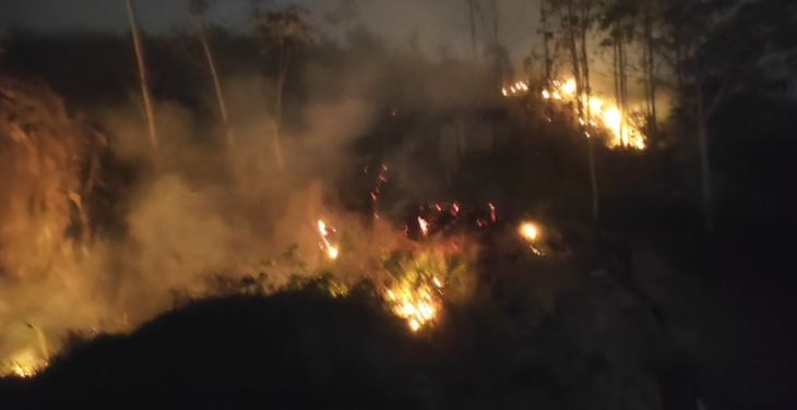  Incendio forestal consume gran parte de un cerro en el sector Cocha Grande en Saposoa