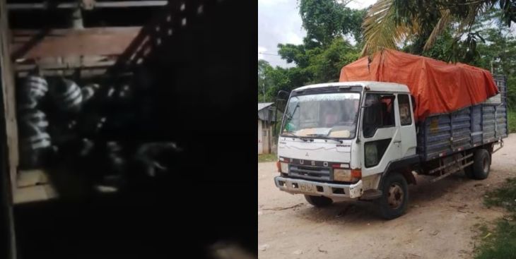  Delincuentes desviaron camión con la carga en la vía Cuñumbuza – Juanjuí y se llevan 10 toneladas de cacao